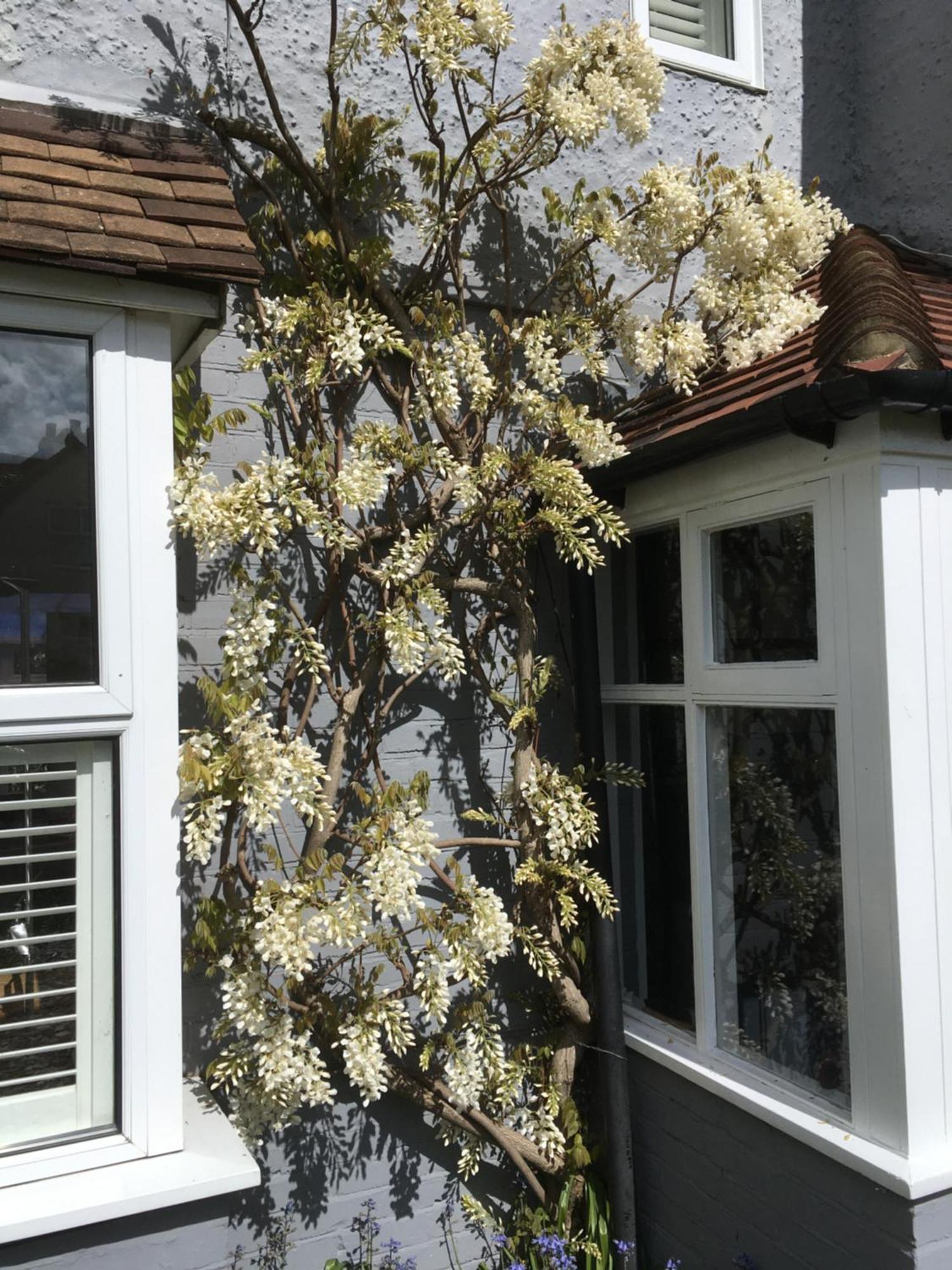 95 Udimore Road Rye Esterno foto